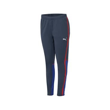 Puma dry cell track pants best sale