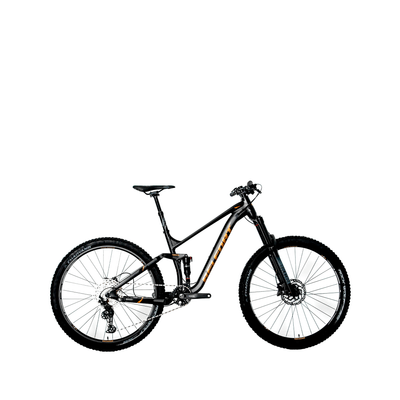 Bicicletas belfort 2020 hot sale