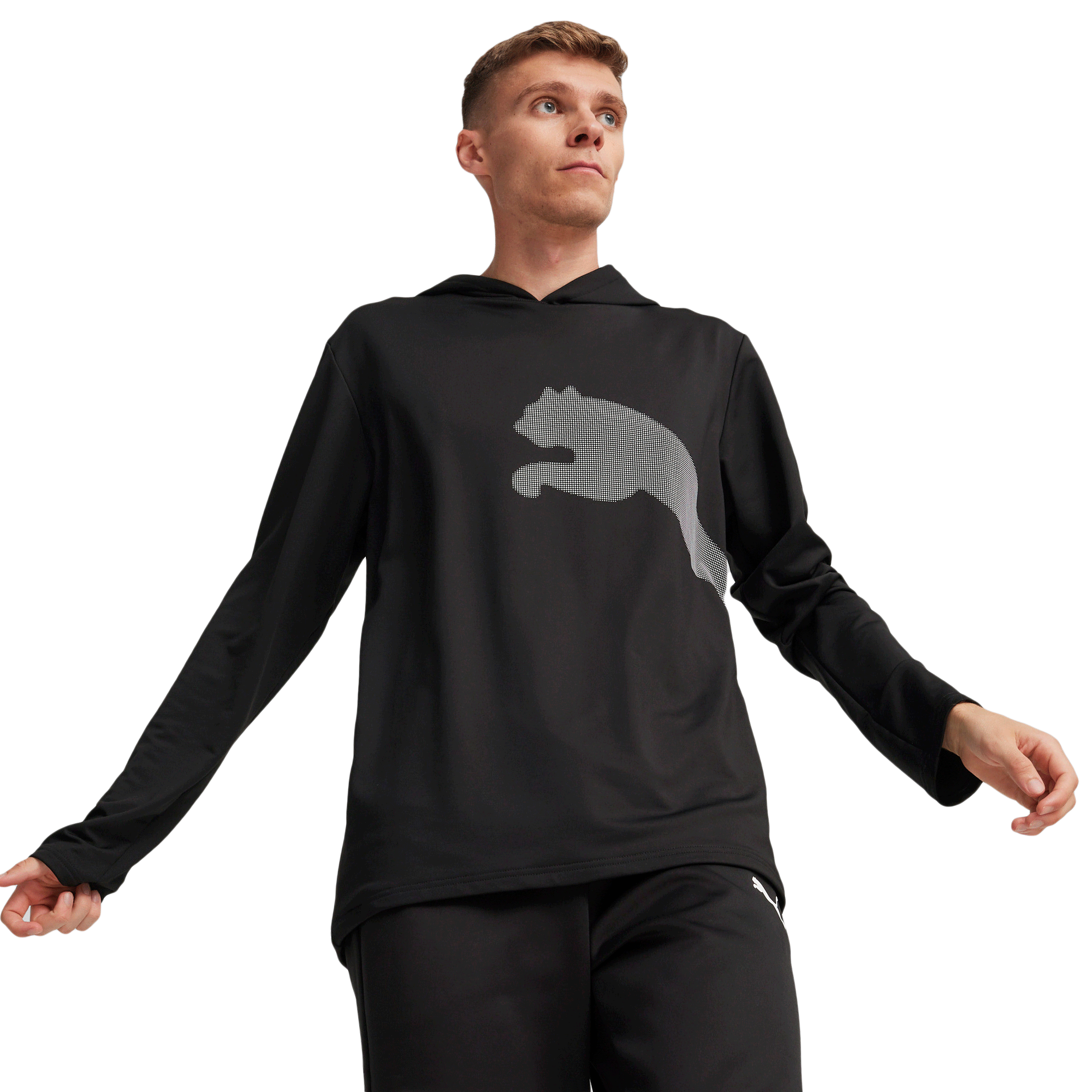 Sudadera Puma Entrenamiento All Day BIG CAT Hombre 525062 01
