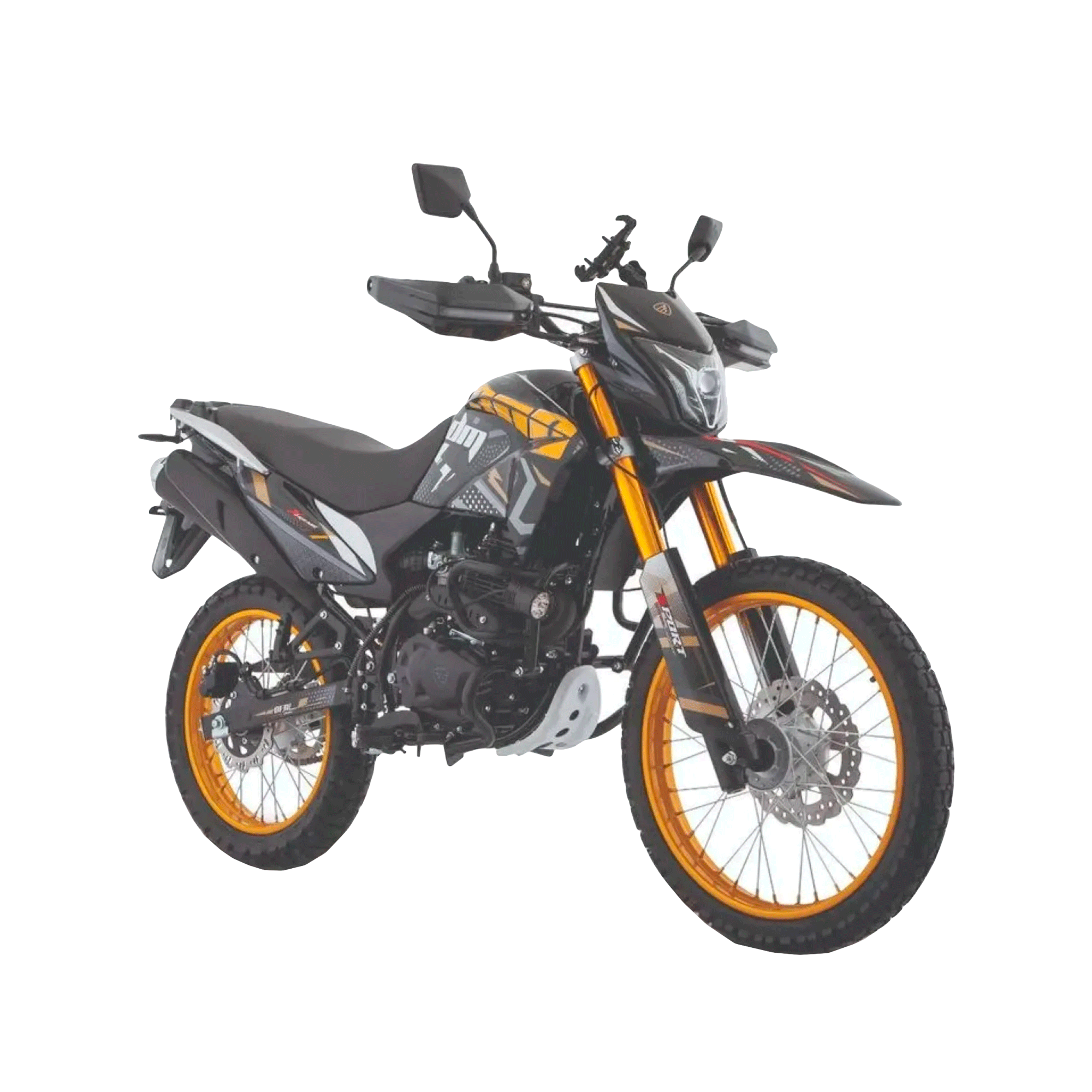Motocicleta Italika DM300 GPS DRD