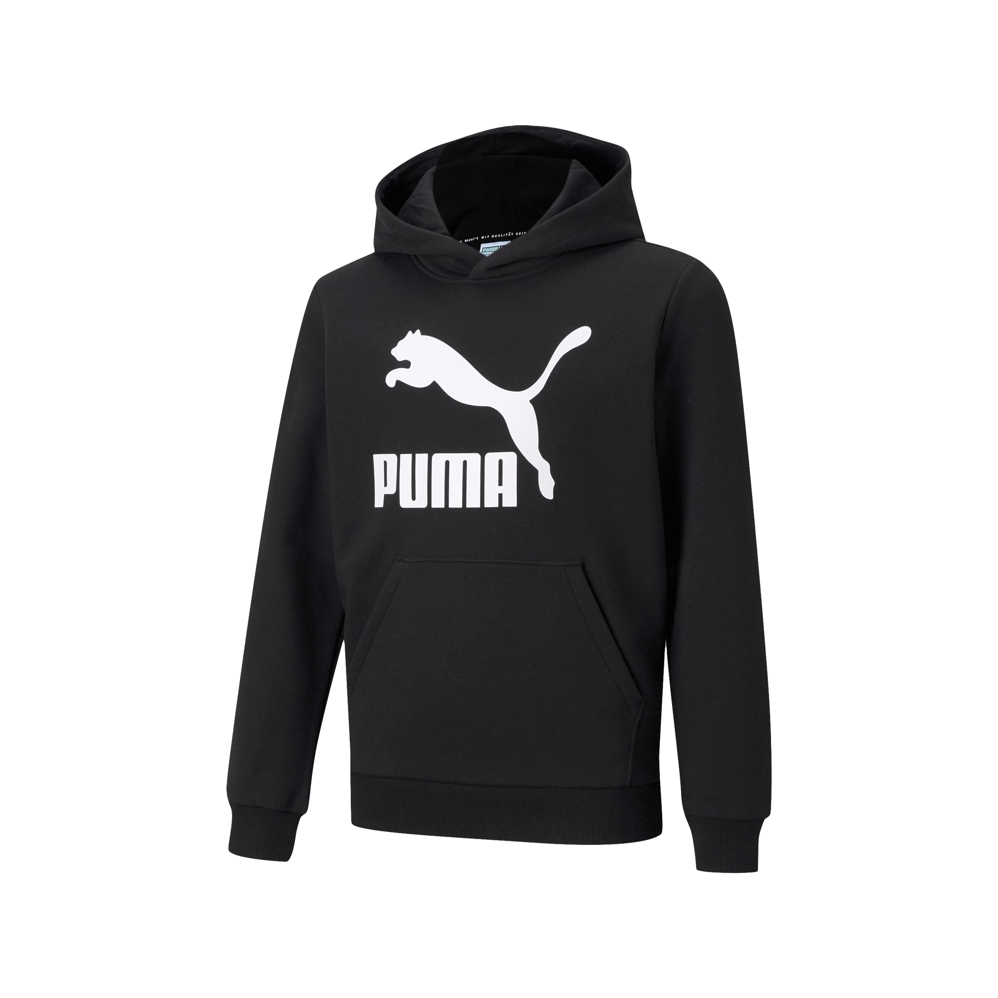 Sudadera Puma Casual Classics Logo Niño 530116 01