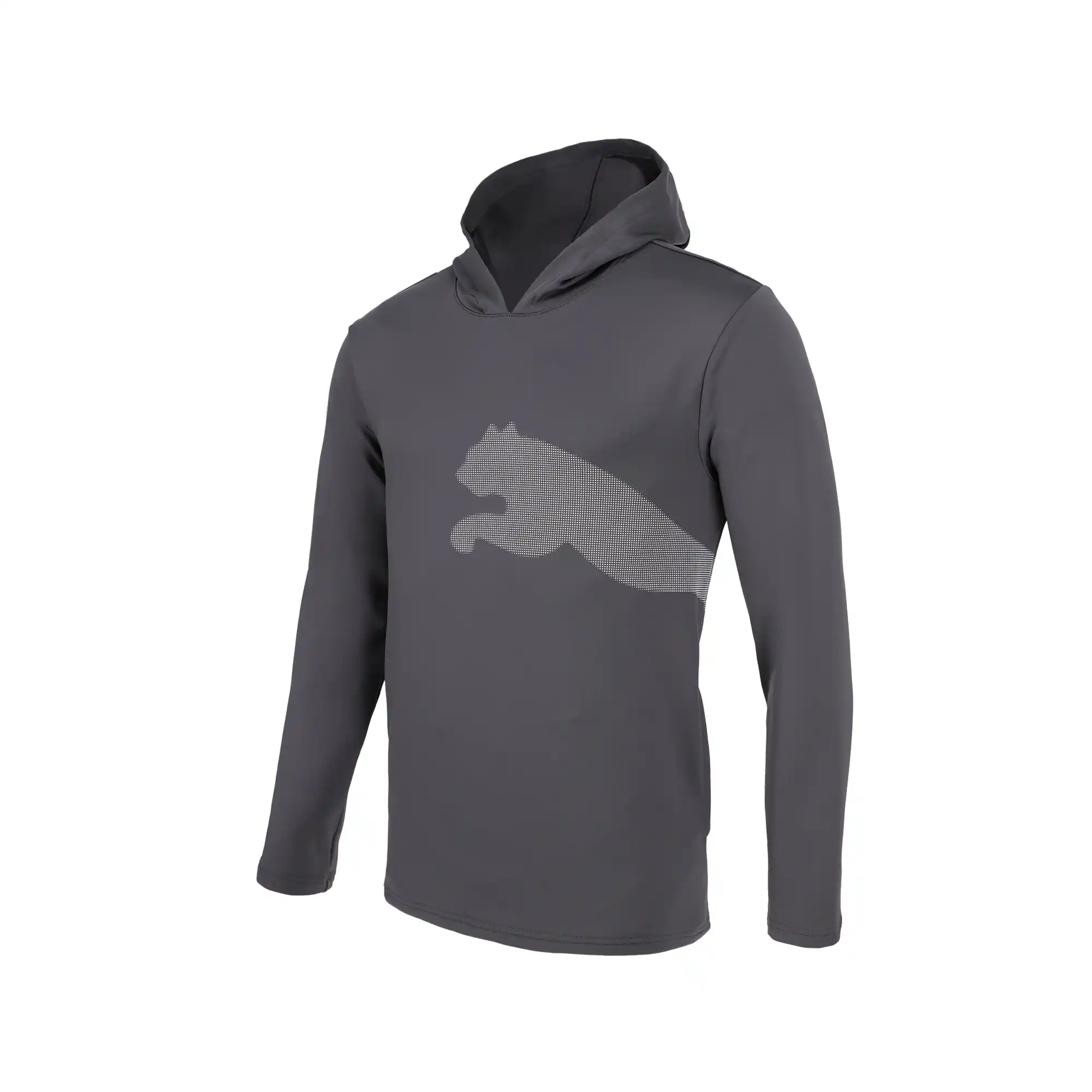 Sudadera Puma Entrenamiento All Day BIG CAT Hombre 525062 69
