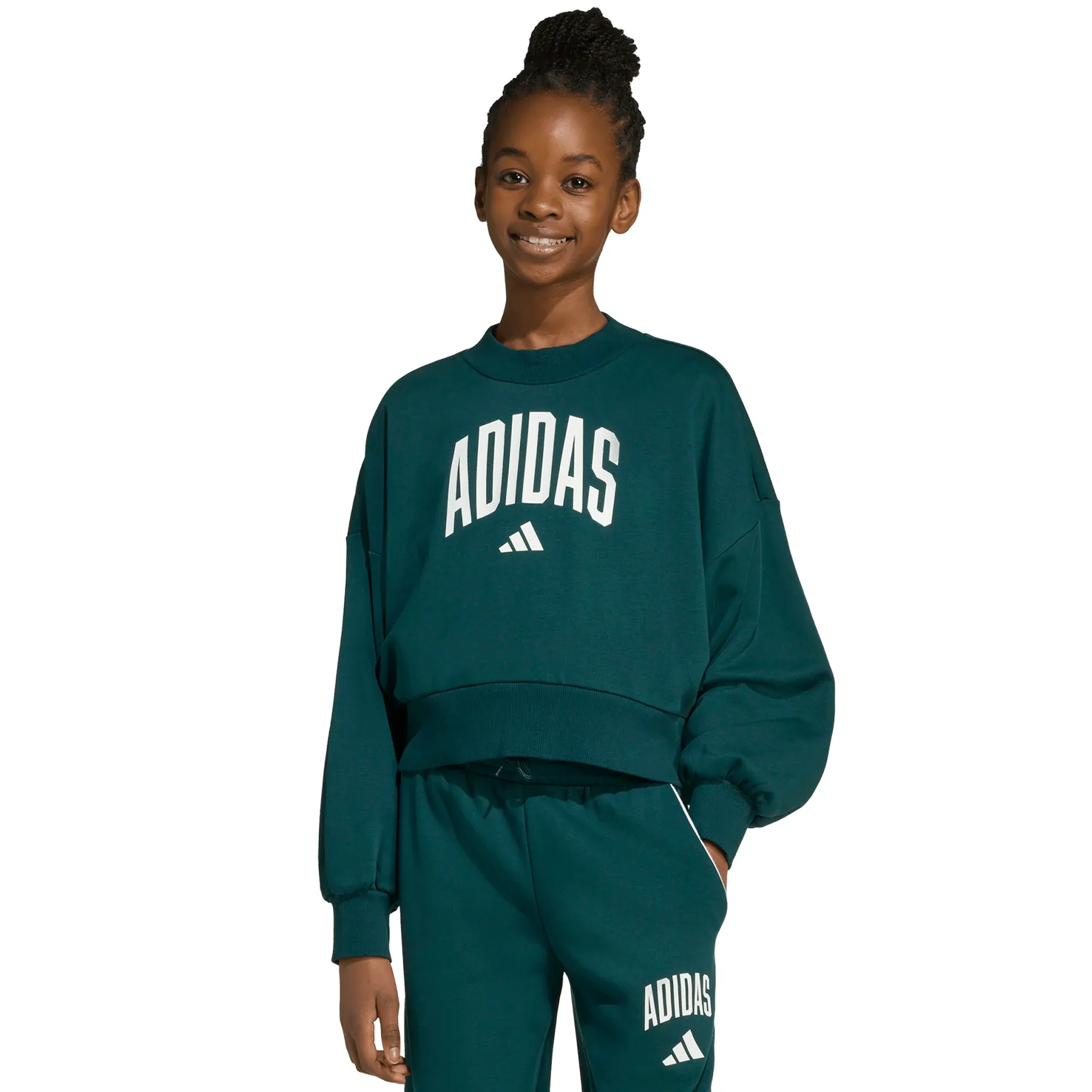 Sudadera adidas Essentials Seasonal Niña JV7377