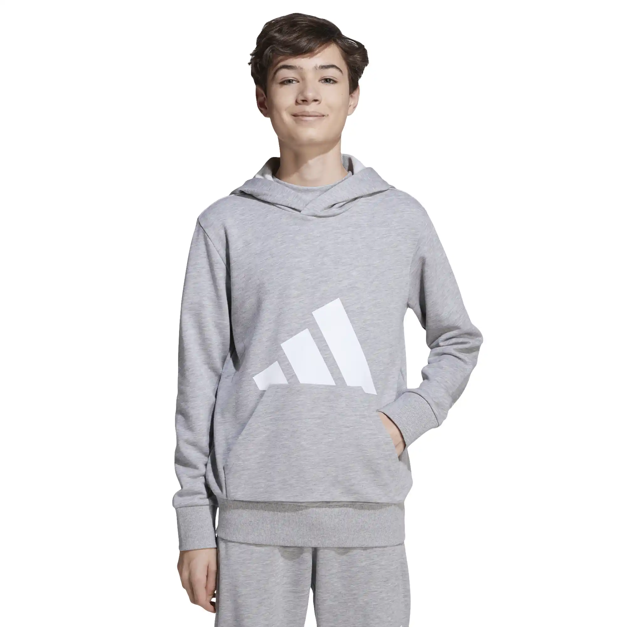 Sudadera adidas Essentials Infantil Unisex JV9900