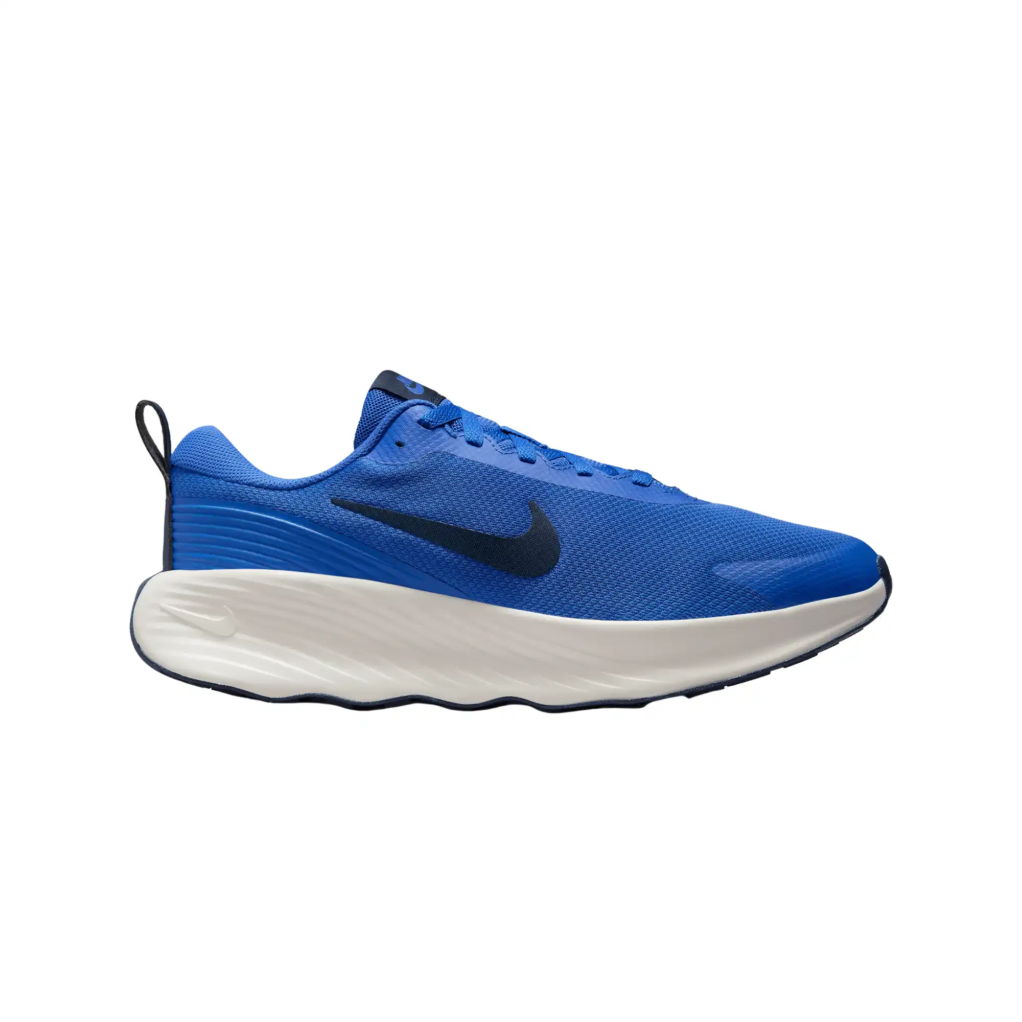 Tenis Nike Casual Promina Hombre FV5285-401