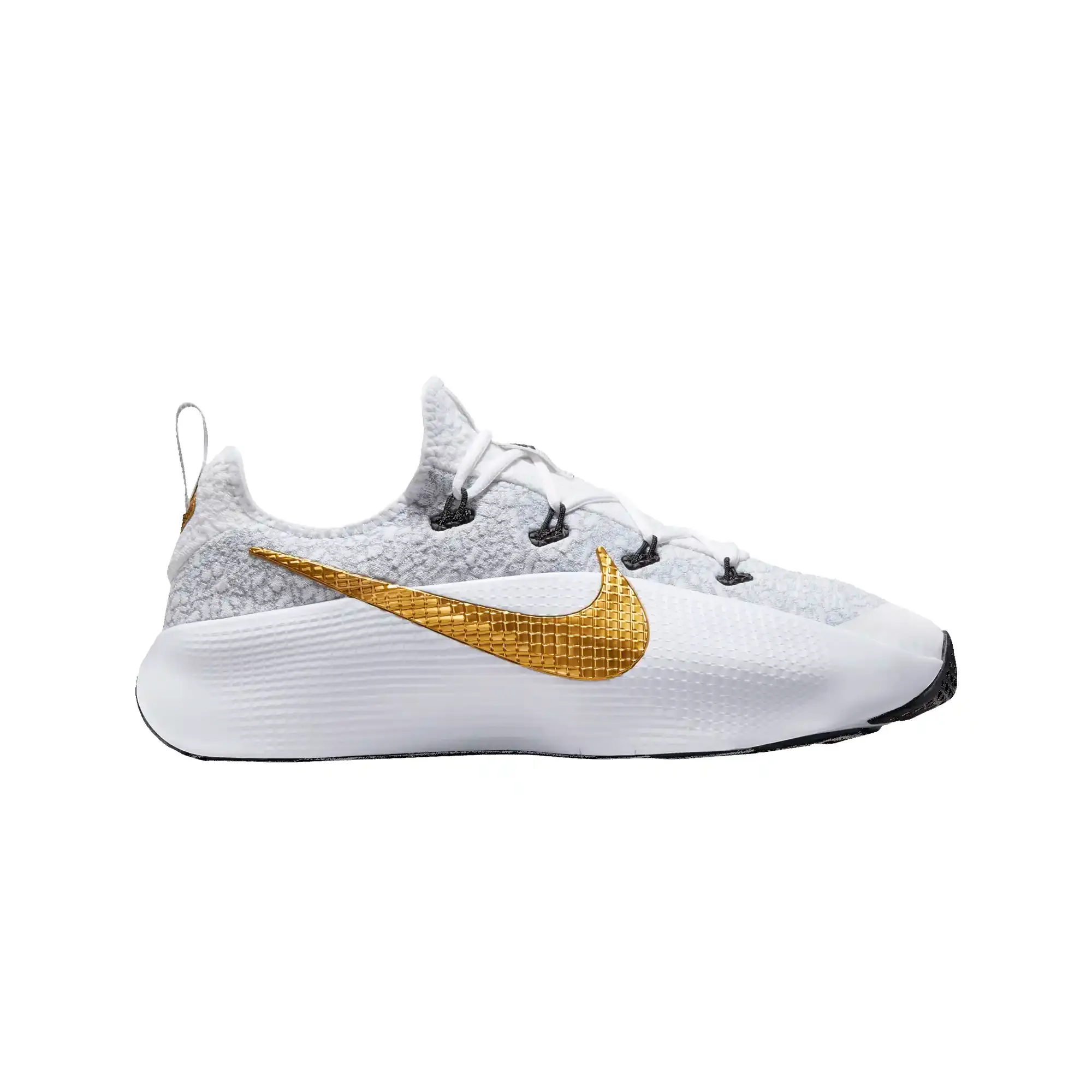 Tenis Nike LeBron TR 1 Hombre FJ6151-006