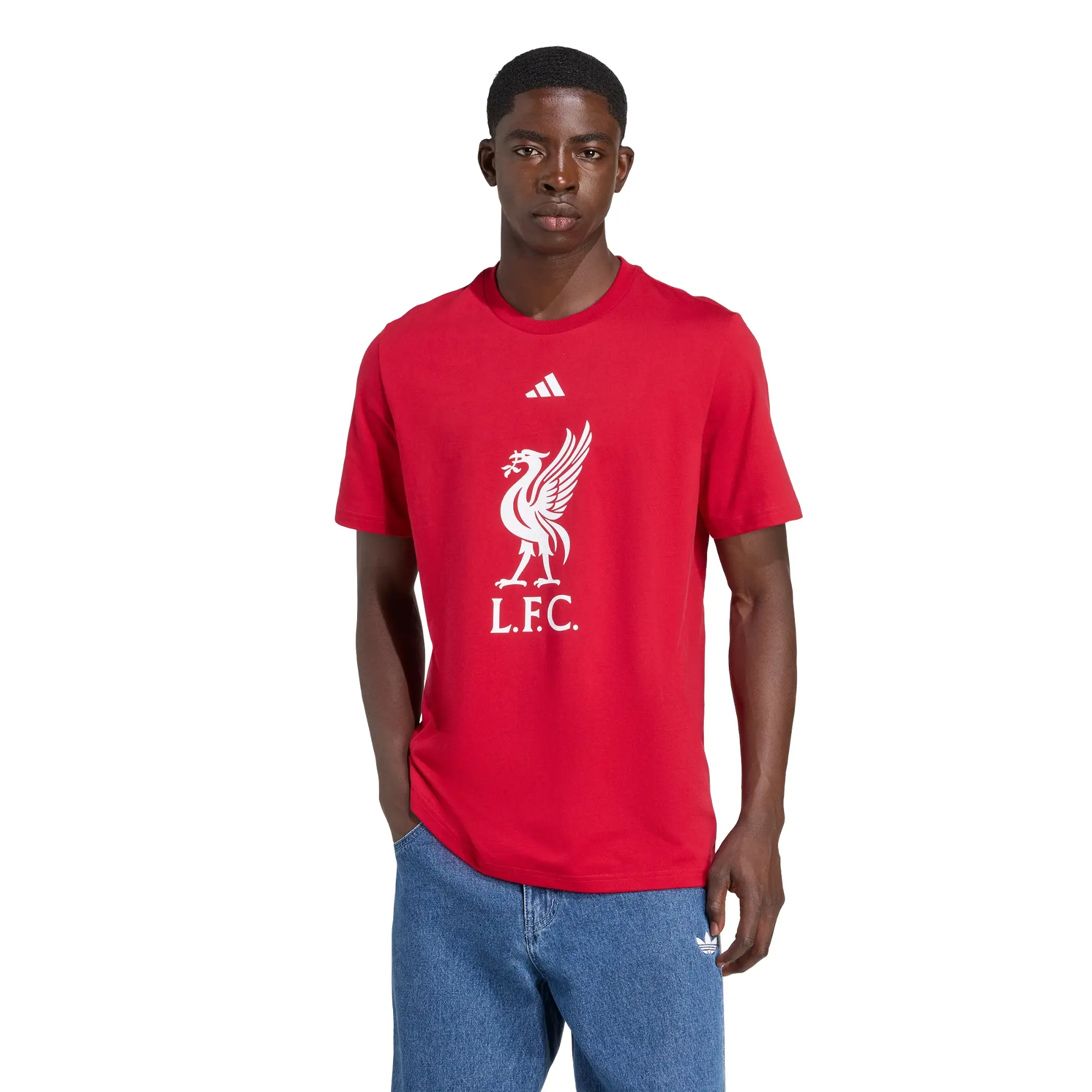 Playera adidas Futbol Liverpool FC DNA Graphic Hombre JW7894