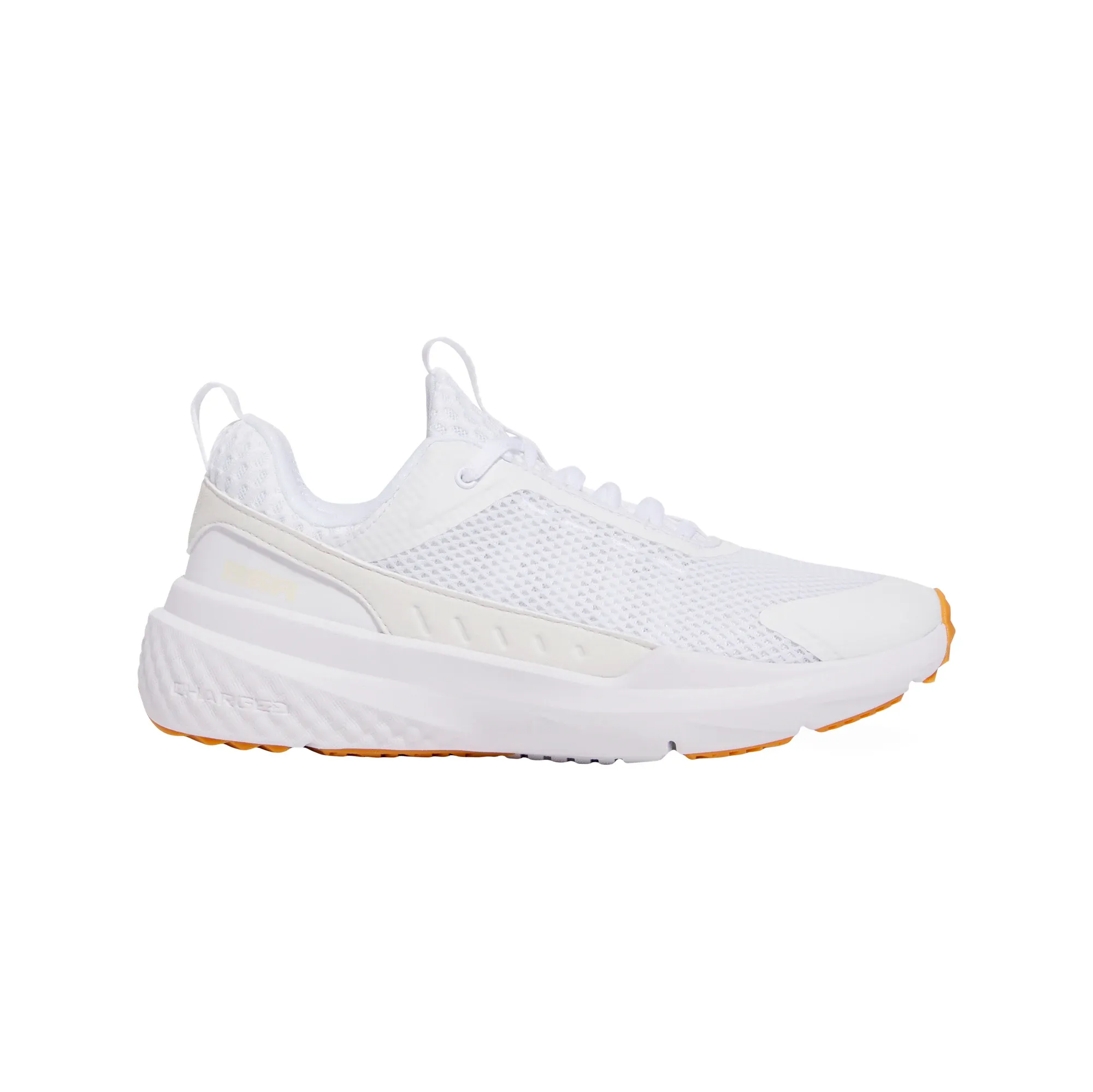 Tenis Under Armour Entrenamiento Project Rock BSR 5 Hombre 3028296-100