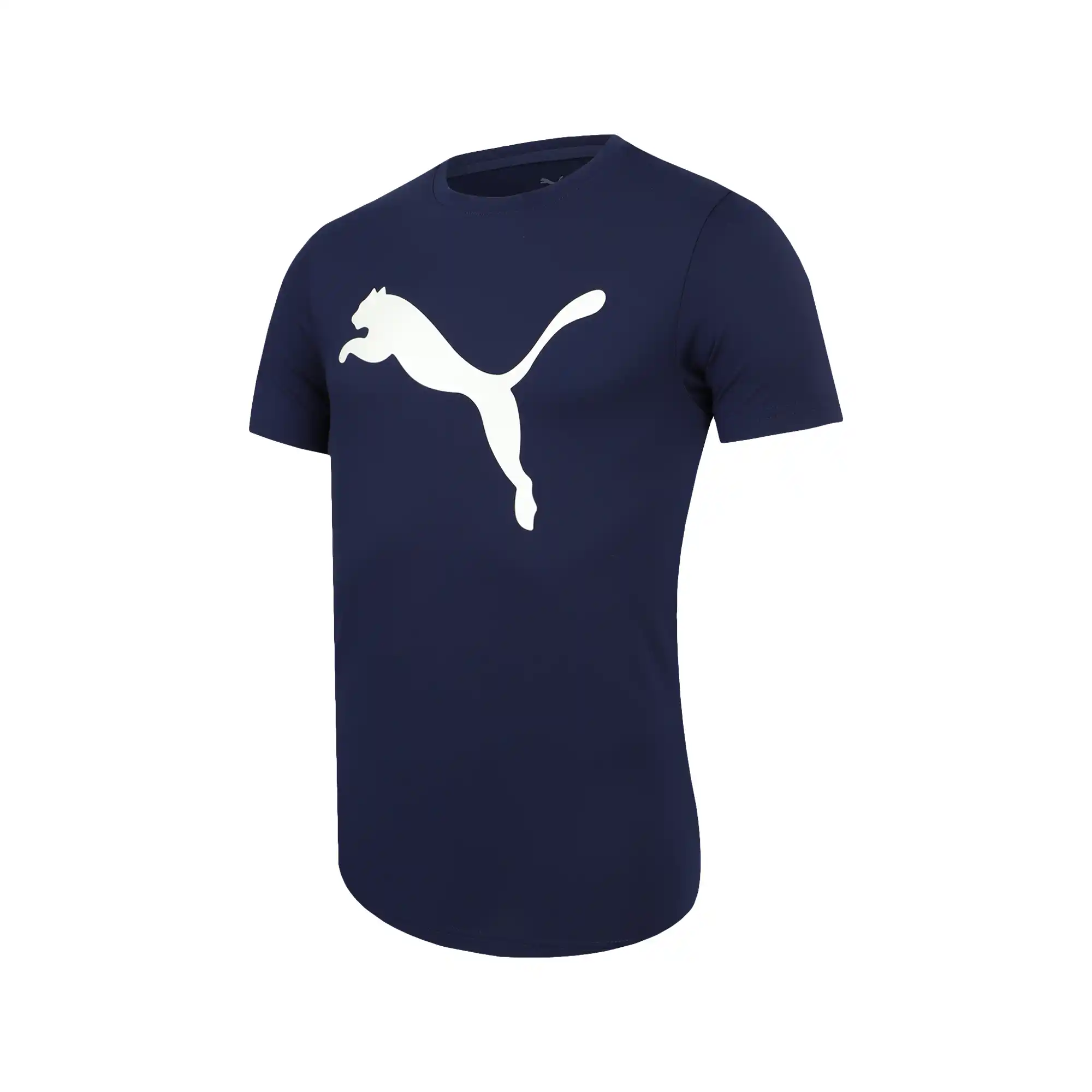 Playera Puma Entrenamiento All Day Essentials Solid Big Cat Hombre 525921 98
