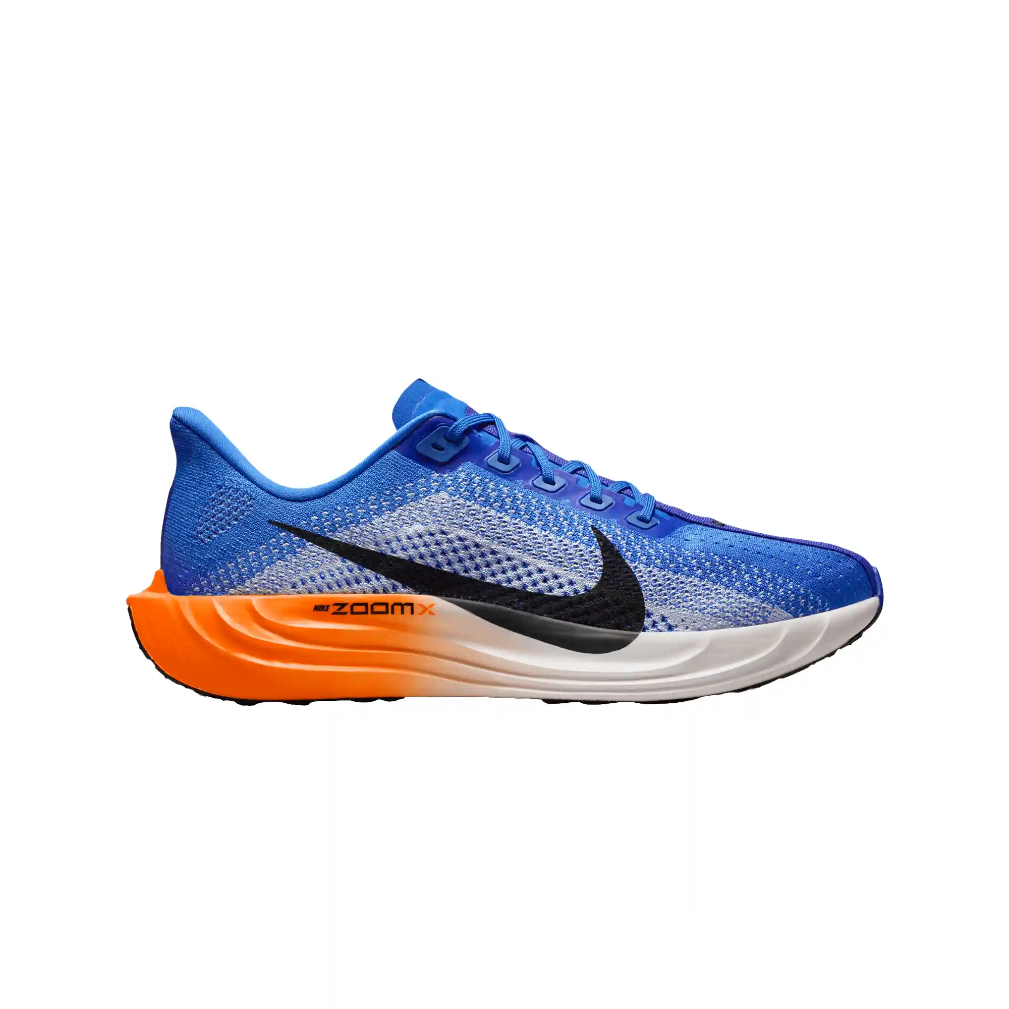 Tenis Nike Correr Pegasus Plus Hombre FQ7262-403