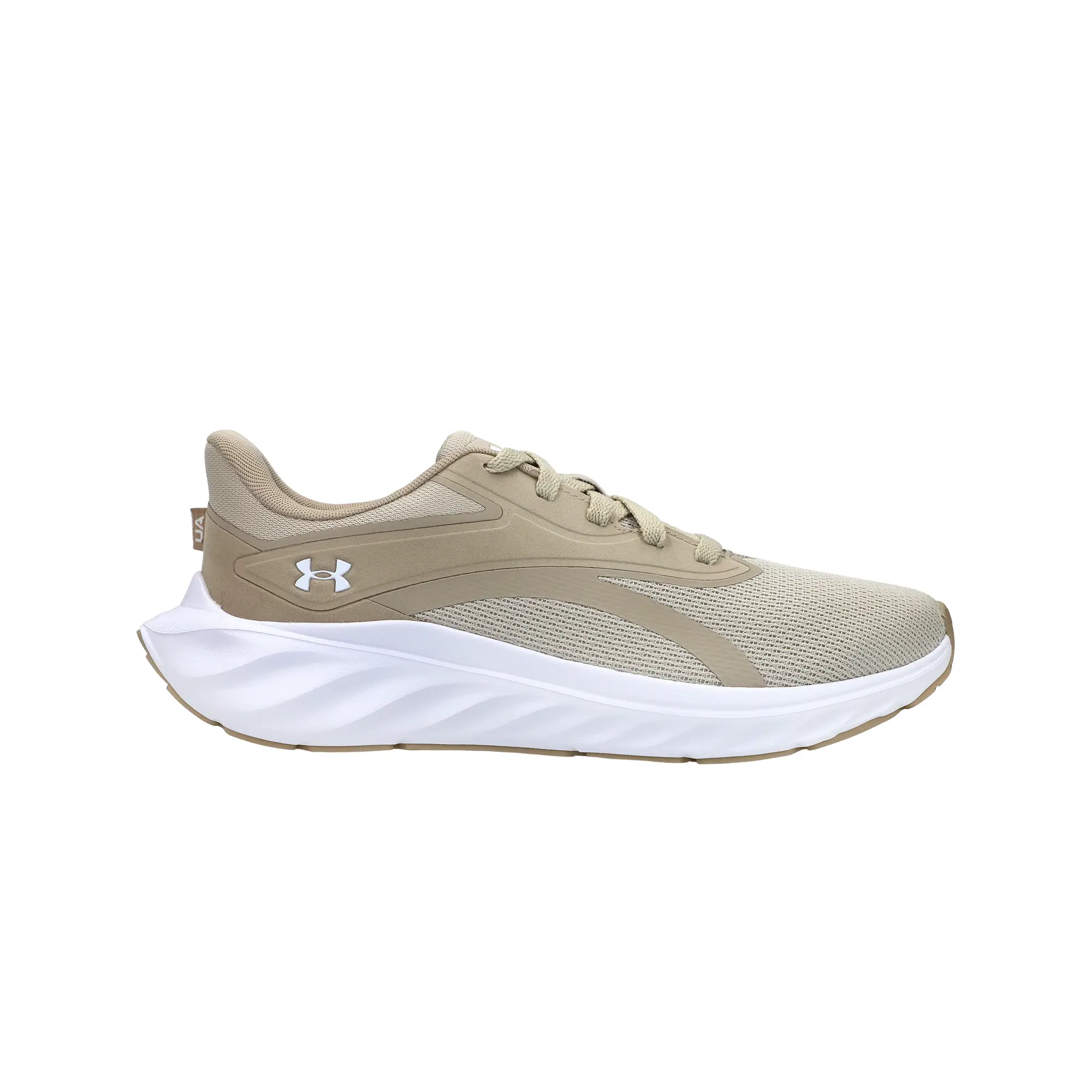 Tenis Under Armour Correr Ascend Hombre 6009827-289