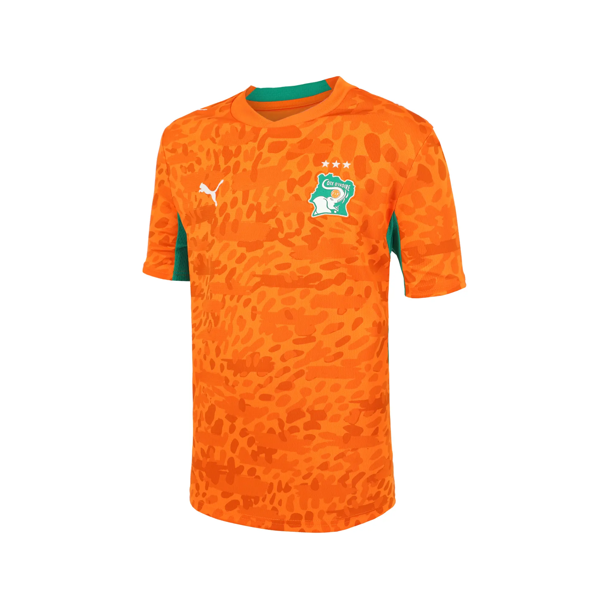 Jersey Puma Futbol Costa de Marfil Local Fan 2026 Niño 783184 01