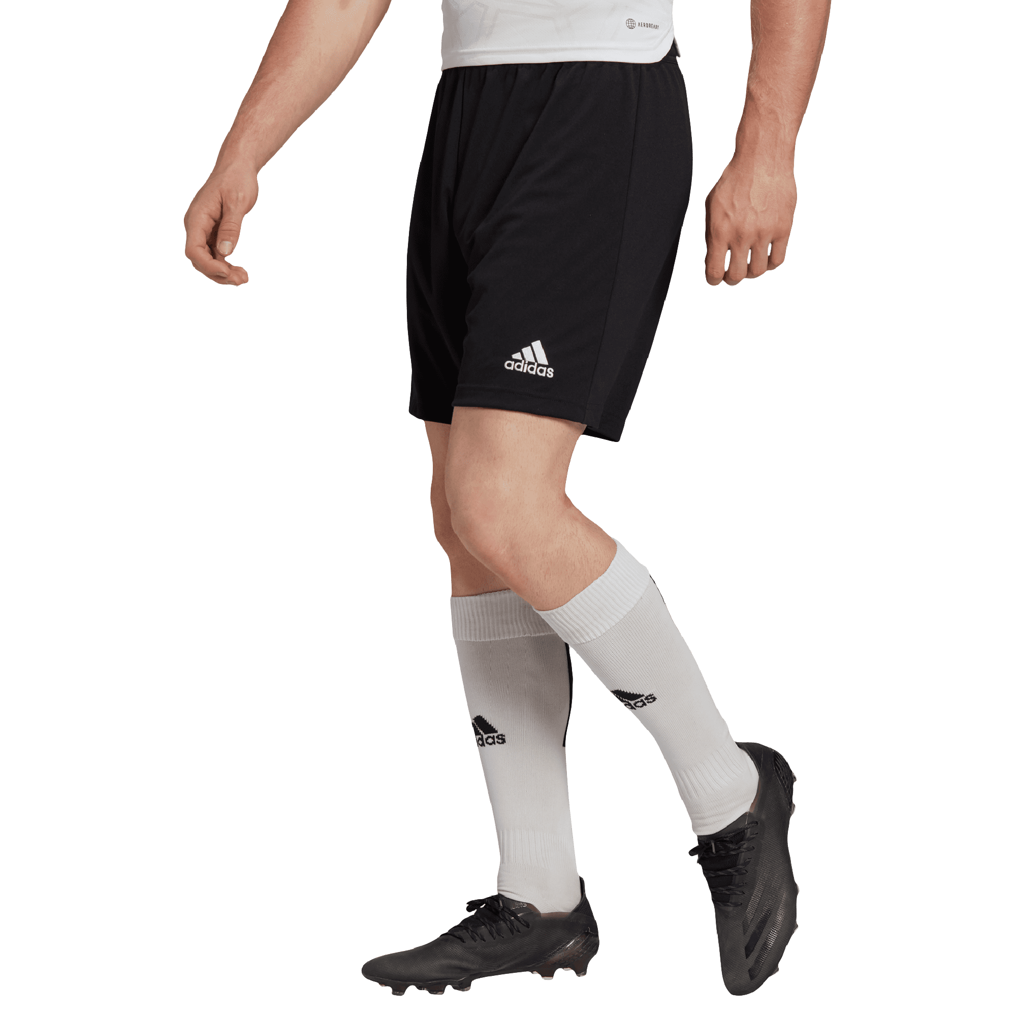 Short adidas Futbol Entrada 22 Hombre H57504